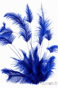 Struzzo Body Split - 33-38 cm - blu-grigio